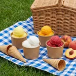 PakMax KRAFT 3oz Icecream Cup - ICC-70-3K