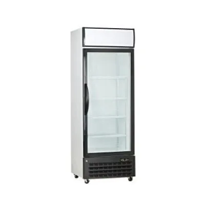 Saltas Dfs2315n Single Glass Door Freezer