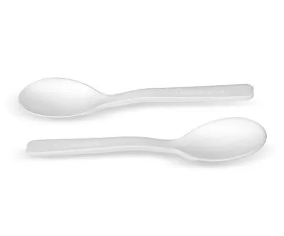Teaspoon CPLA White Compostable — 165mm Pack 100