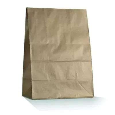 #20 Brown Sos Paper Bag [pack 250]