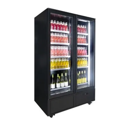 Airex 2 Door Upright Merchandiser AXR.MEUR.2D
