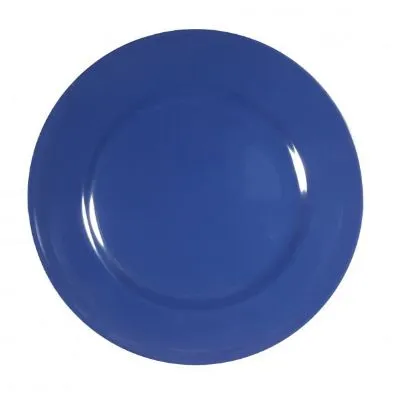 Blue Round Plate with Flat Rim 165mm