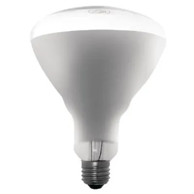 Apuro Shatterproof Heat Lamp Bulb Es - 250 Watt For Cn316 Dl492-3 Dl905-6 Dr573-9