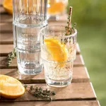 Alex Highball Polycarbonate 315ml