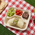 PakMax Sugarcane Small 4-Compartment Food Container - FC-41-S