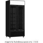 Thermaster Double Glass Door Colourbond Upright Drink Fridge LG-580BP