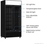Thermaster Double Glass Door Colourbond Upright Drink Fridge LG-580BP