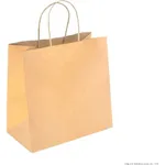 PakMax Small Twist Handle Kraft Paper Bags