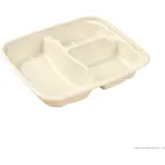 PakMax Sugarcane Small 3 Compartment Food Containe