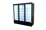 3 Door Freezer