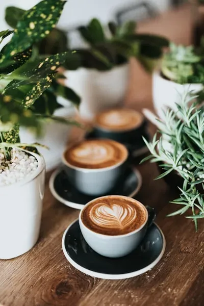 475ml / 16oz Grasp The Moment Single Wall Pla Coffee Cups [50 Pack]