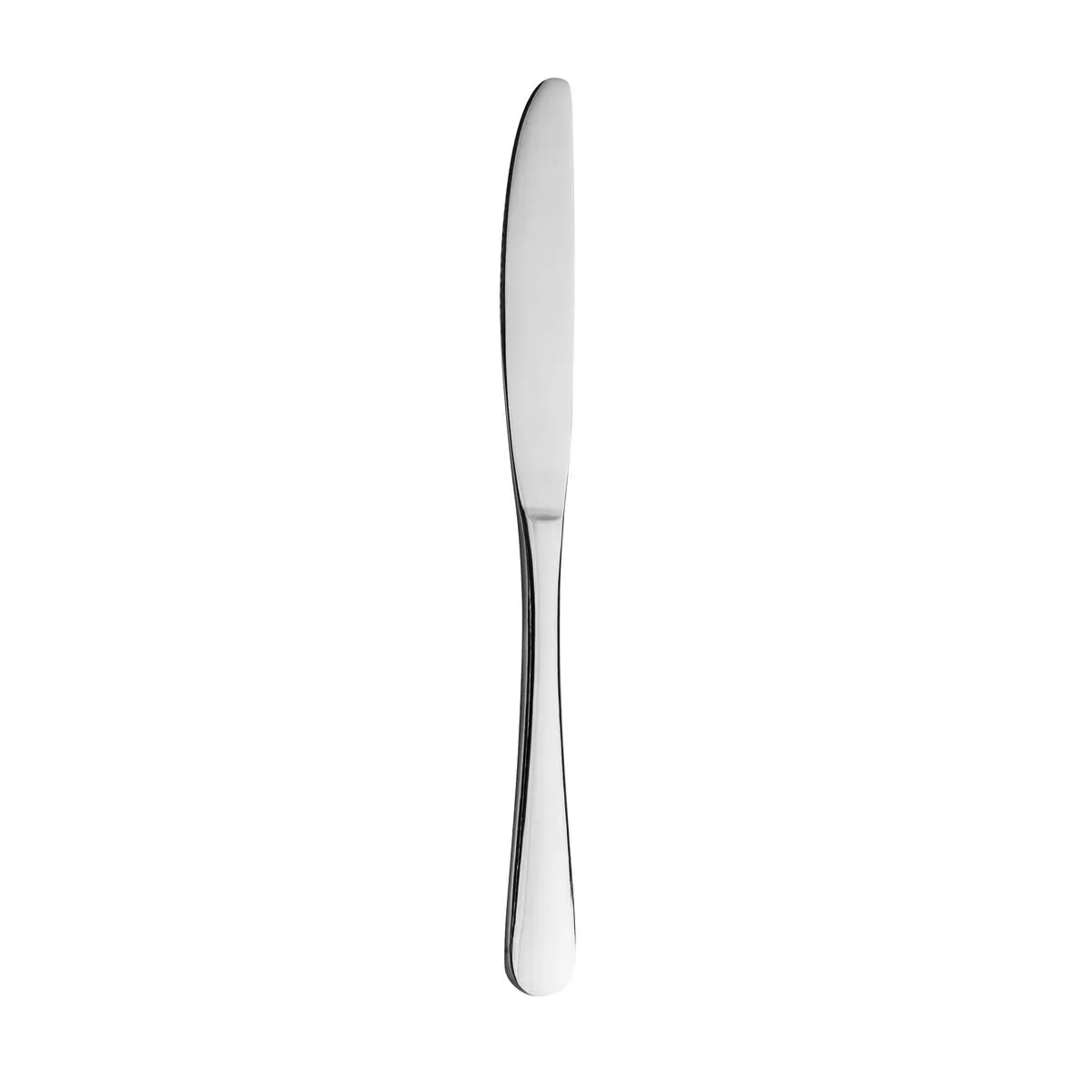 Sydney Table Knife - Solid Handle Stainless Steel 222mm