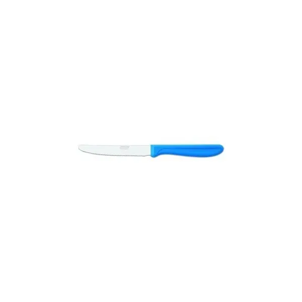 Paring/Steak Knife Blue Handle-110mm | Serrated