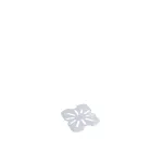 Drain Plate-Pp | 1/6 Size