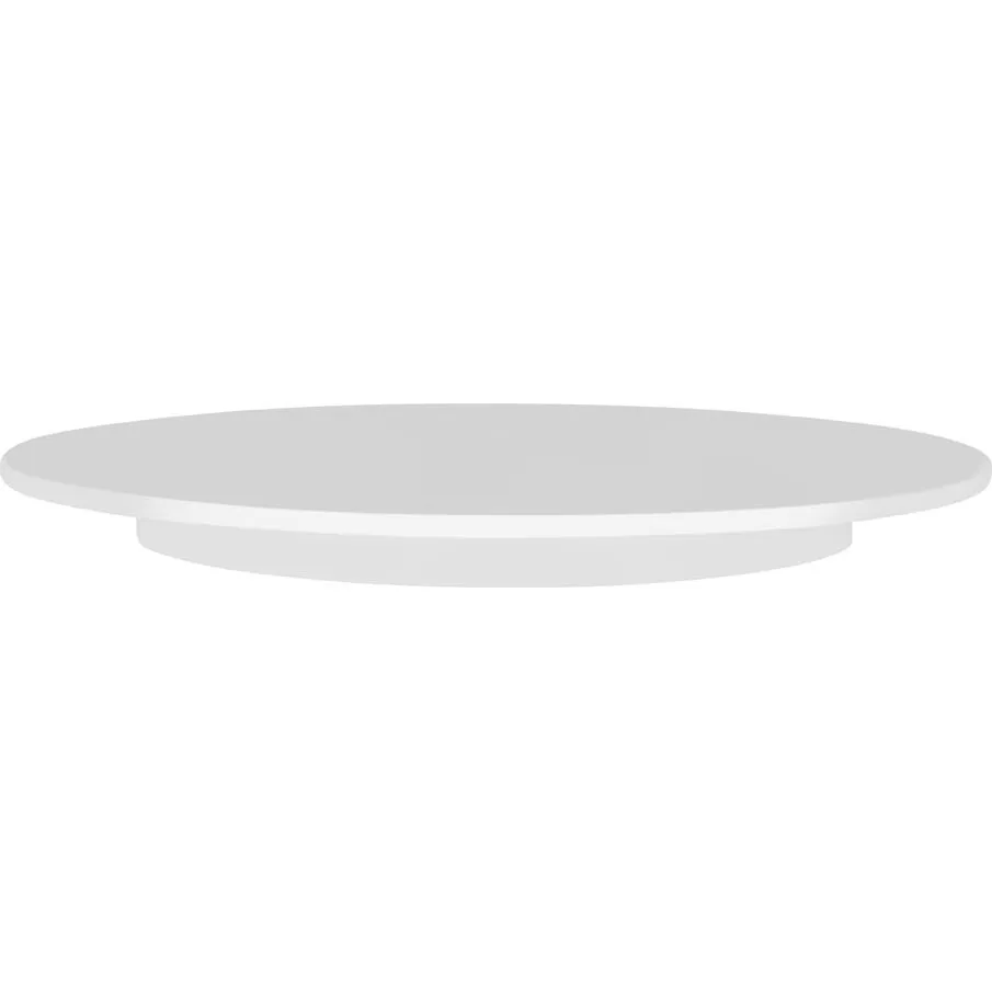 Cake Plate Plastic — 300x25mm