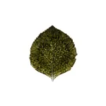 Costa Nova Riviera Hydrangea Leaf 218mm Forêts (vep221-Frt)