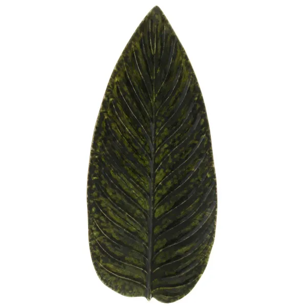 Costa Nova Riviera Strelizia Leaf 398mm Forêts (vea401-Frt)