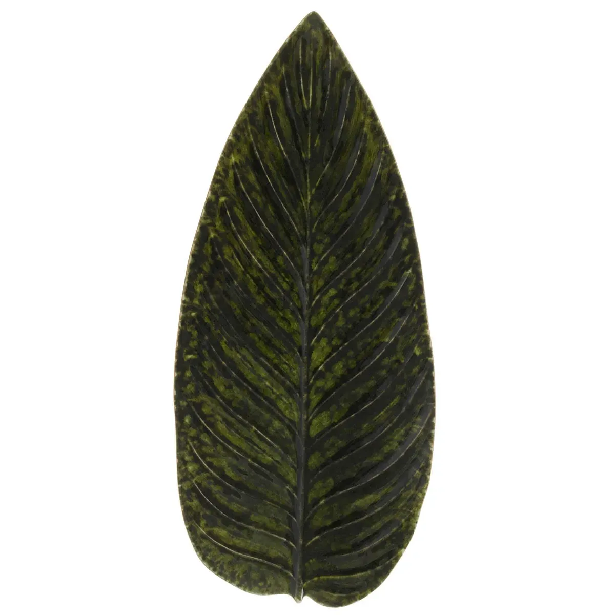 Costa Nova Riviera Strelizia Leaf 398mm Forêts (vea401-Frt)