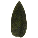Costa Nova Riviera Strelizia Leaf 398mm Forêts (vea401-Frt)
