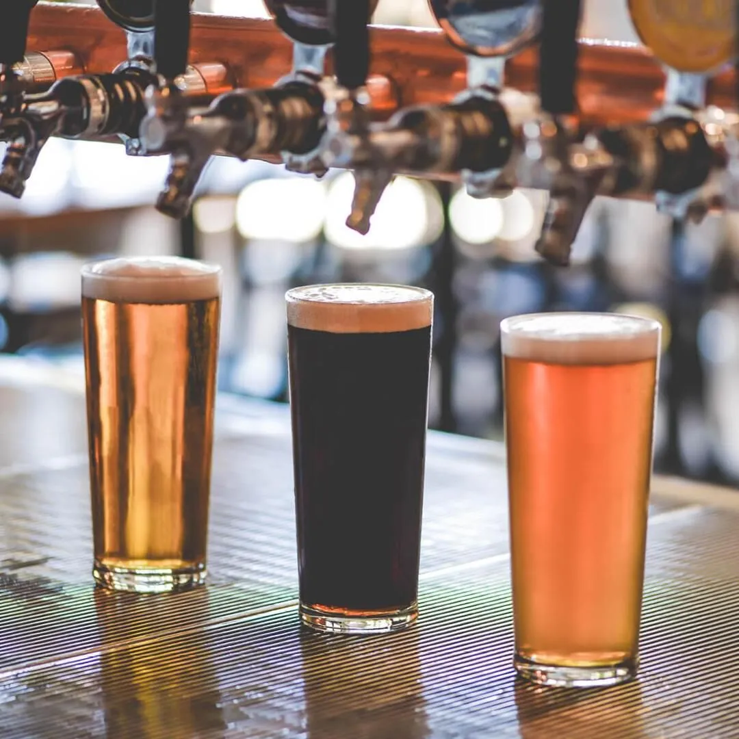 Crowntuff Senator Beer - Certified &amp; Nucleated