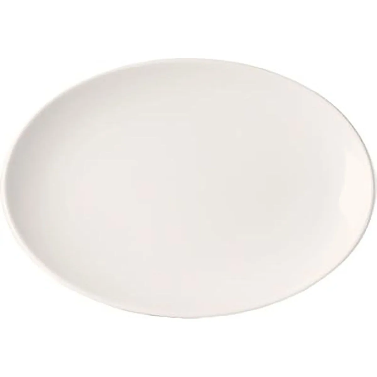 Royal Bone Ascot Platter-Oval 235mm Coupe (b0584)