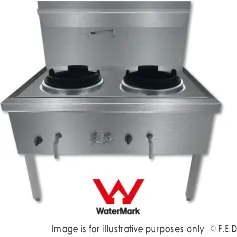 Gasmax Stainless Steel Waterless Nature Gas Double Wok - WW-2N