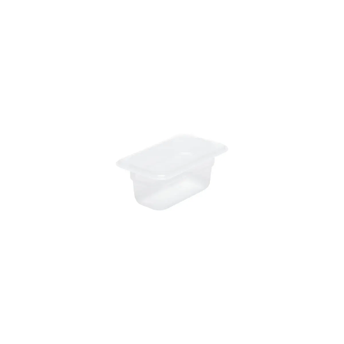 GN Storage Container Polypropylene Size 1/9 x 100mm Clear