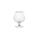 Conac Cognac 300ml [6 Pack] Hostelvia By Vicrila