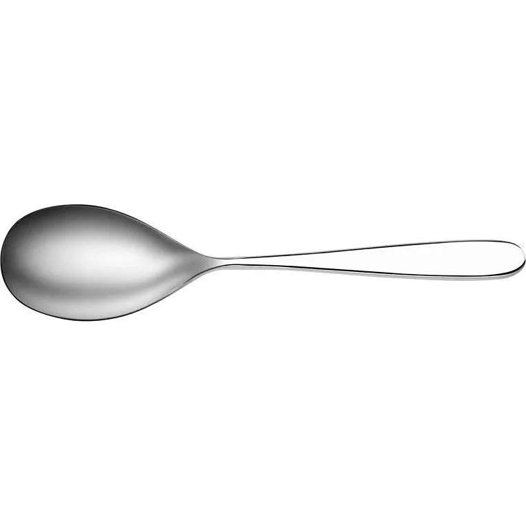 Tablekraft Alaska Mirror Serving Spoon 18/10 220x50mm