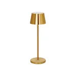 Cordless Table Lamp LED Amelia Brass — 110x350mm
