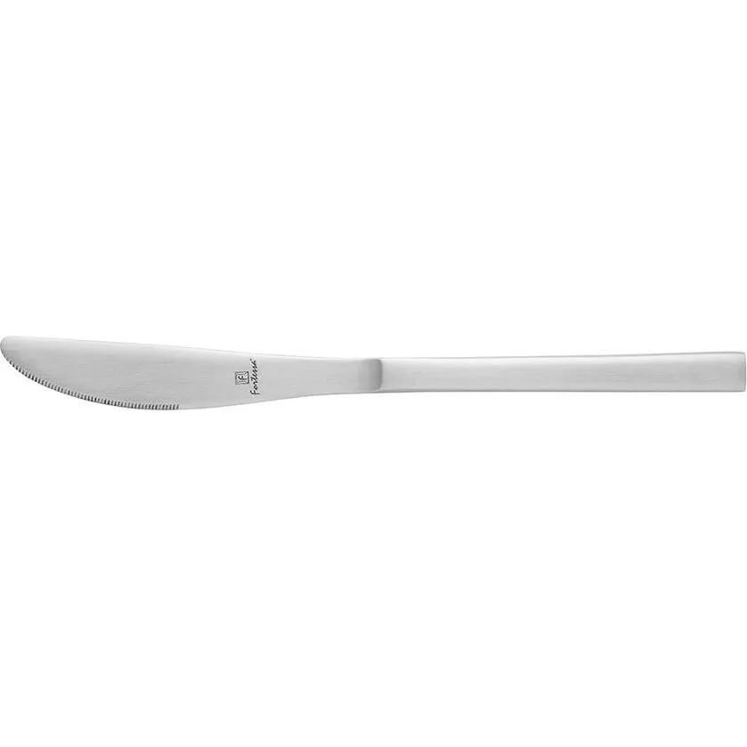 Arezzo Table Knife-S/S Solid Handle