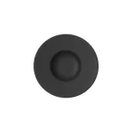 Deep Plate The Rock Black Shale — 290mm